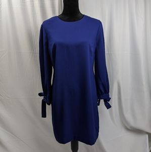 Long sleeve blue dress